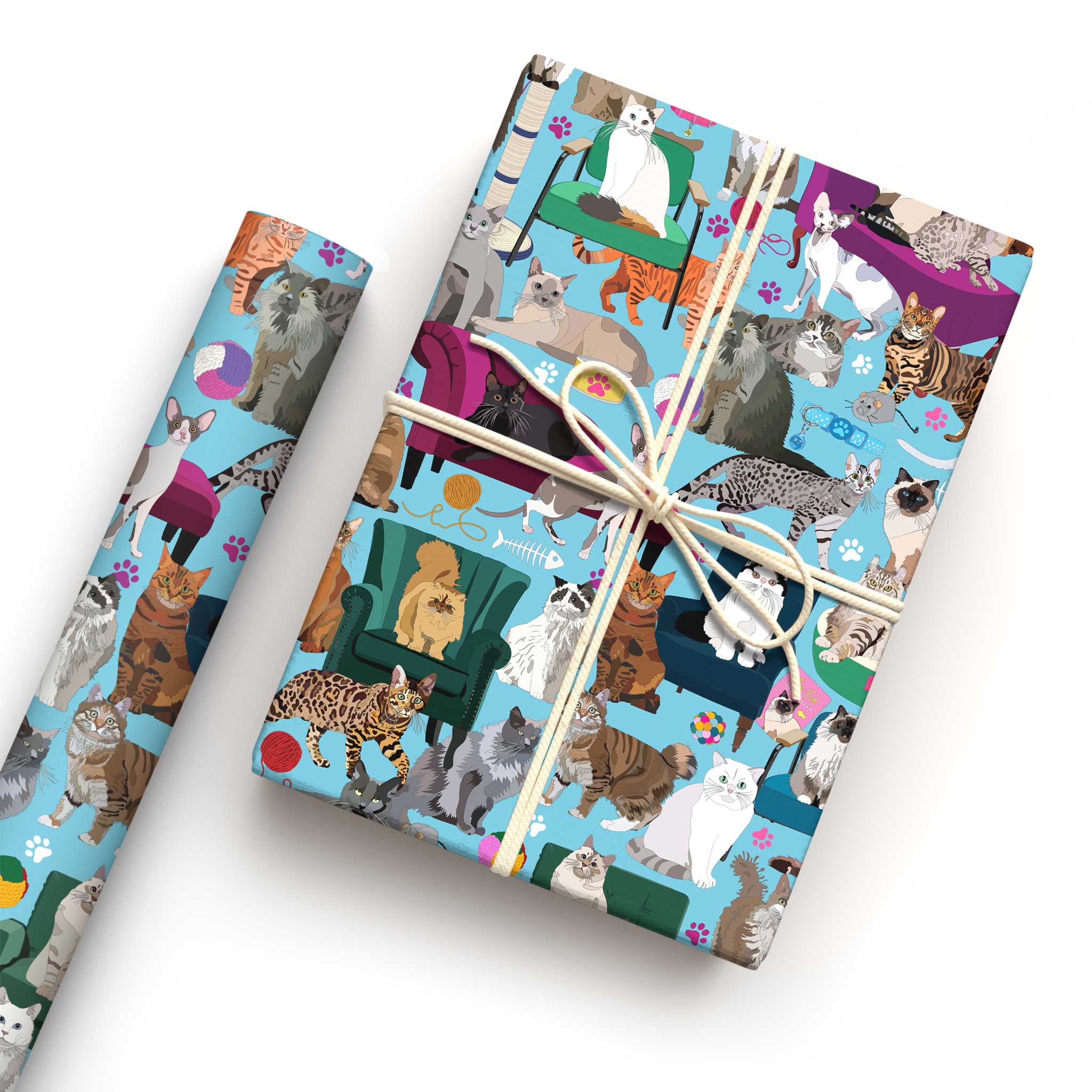 Colourful cat wrapping paper with wrapped present and roll, featuring illustrated cats lounging on sofas and armchairs with paw prints and cat toys.